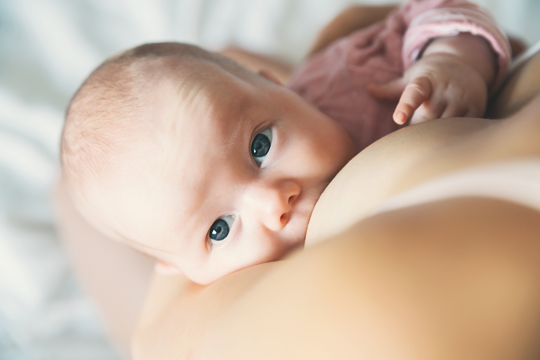 Why Does My Baby Click When It Breastfeeds? - Adelaide Mums